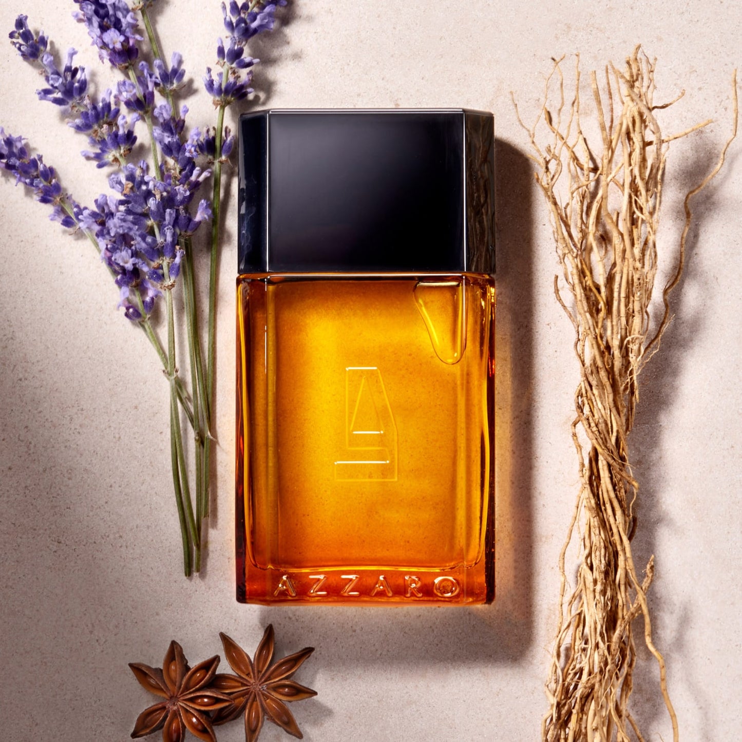 Azzaro Pour Homme Eau De Toilette 100 mL – For Men