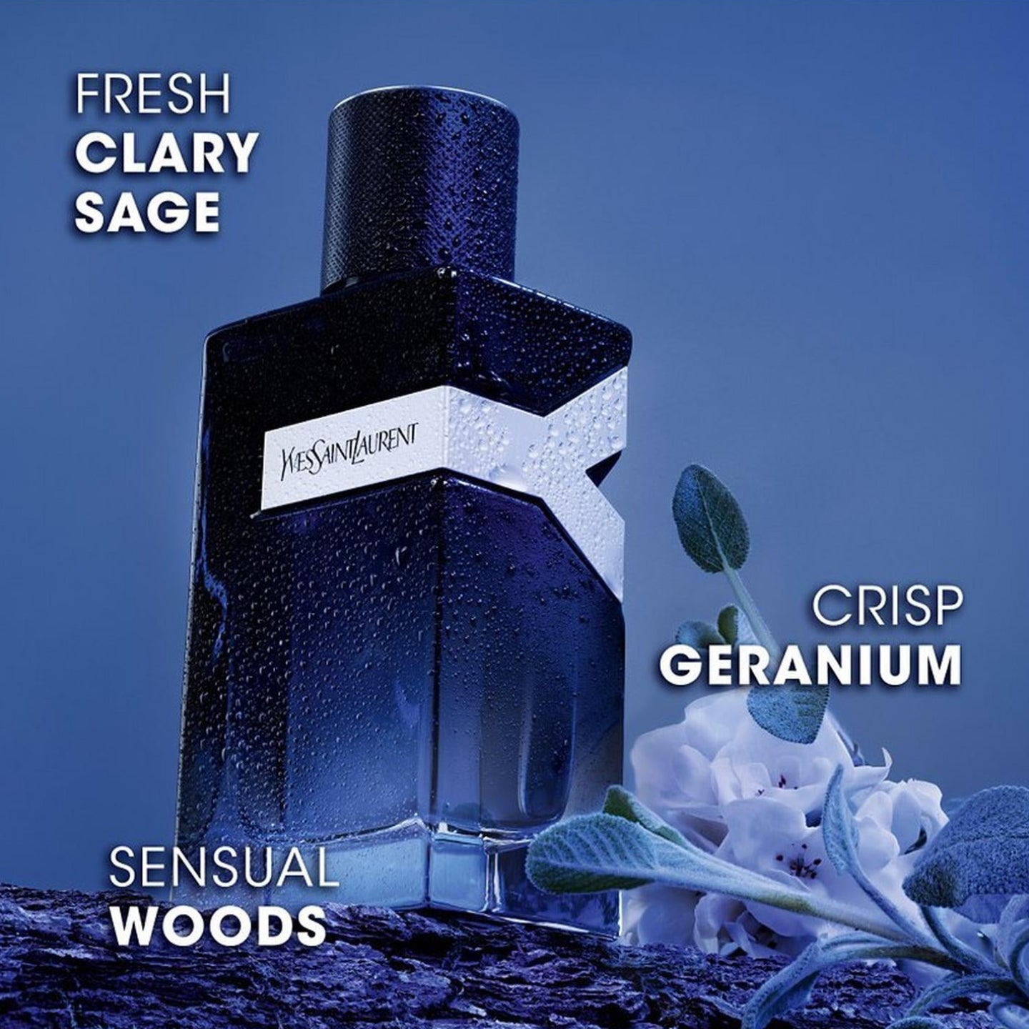 Yves Saint Laurent Y Eau de Parfum 100 mL