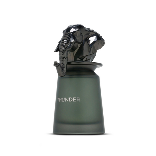 French Avenue Thunder Eau de Parfum 100 mL (Men)