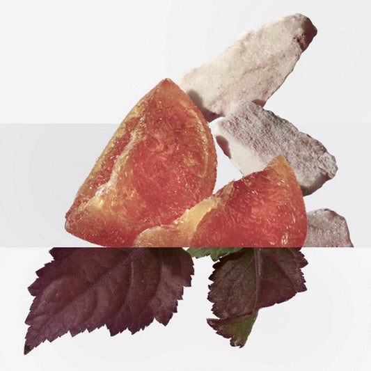 Hermès Elixir des Merveilles Eau de Parfum 100mL