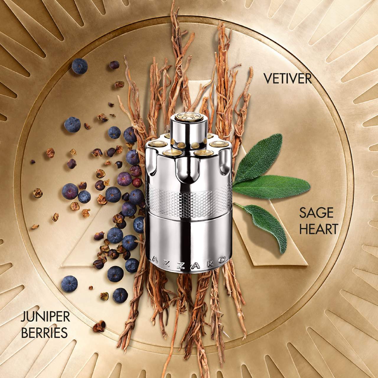 Azzaro Wanted (Eau de Toilette) - 100 mL