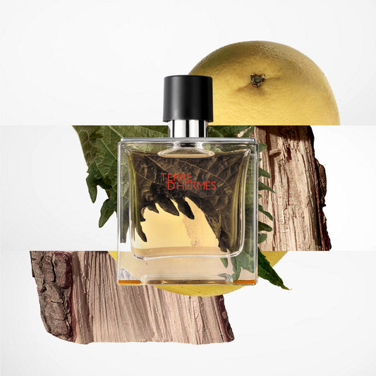 Hermès Terre d'Hermès Pure Parfum – 75 mL - Men
