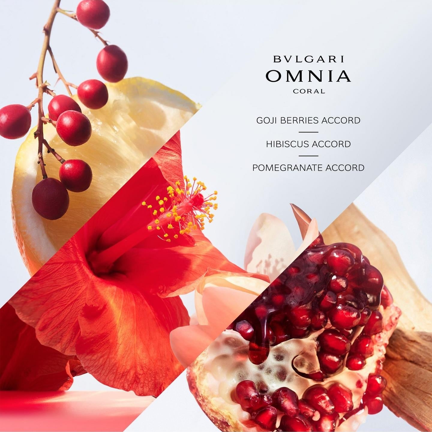 Bvlgari Omnia Coral – Eau de Toilette 65 mL – Women