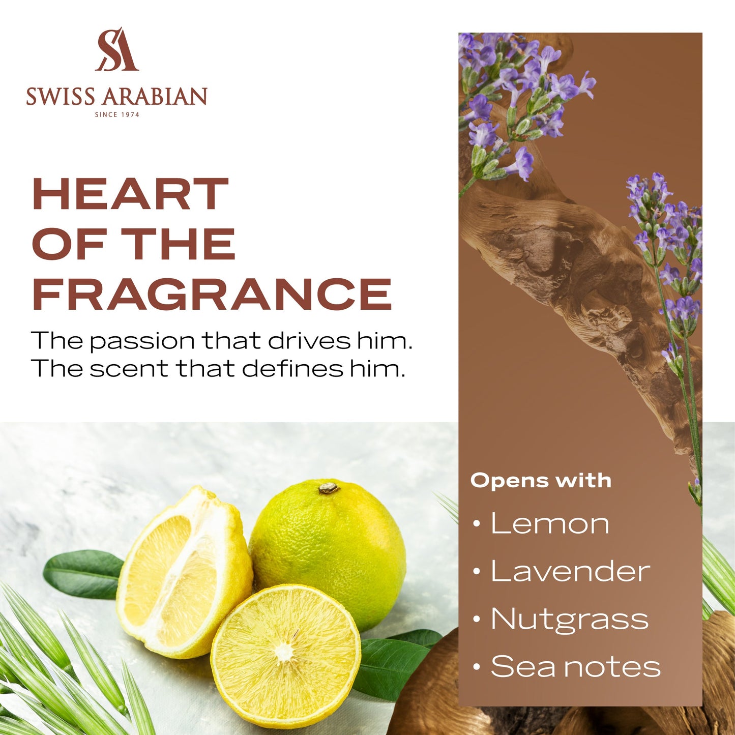 Swiss Arabian Shaghaf Men Eau de Parfum 75 ml (Men)