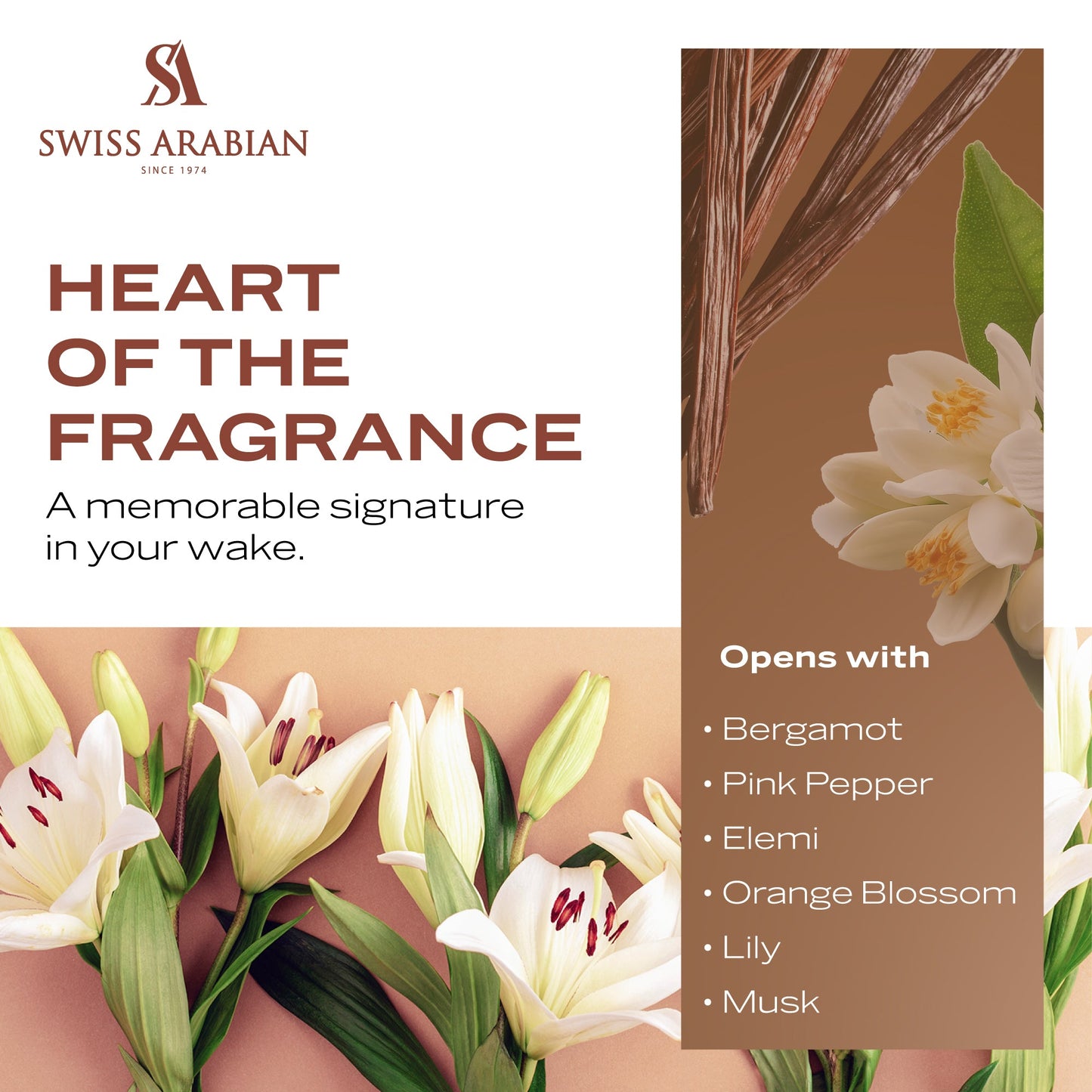 Swiss Arabian Musk 01 Eau de Parfum 50 ml (Unisex)