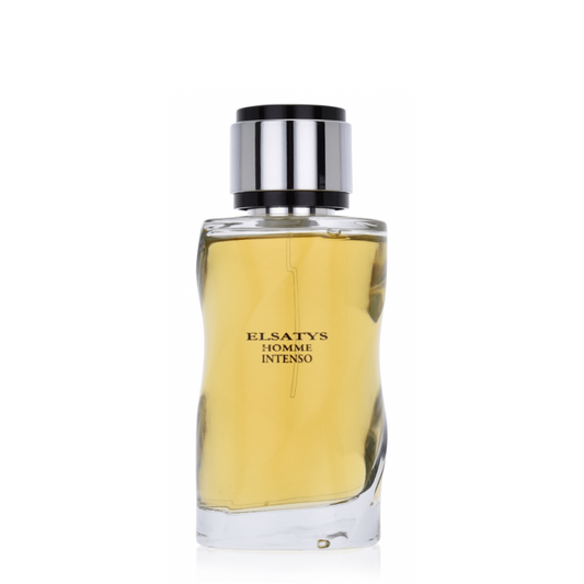 Elsatys Intenso Eau de Parfum 100 ml (Men)
