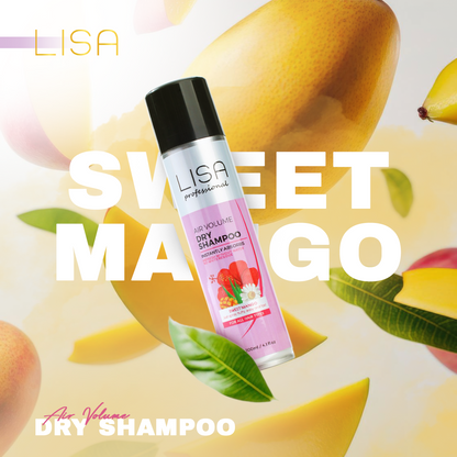 LISA Professional Air Volume Dry Shampoo 200 mL - view 6