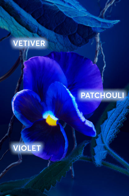 Hugo Boss Bottled Triumph Elixir Eau de Parfum 100 ml