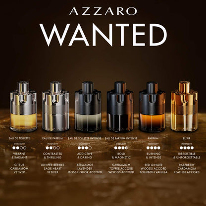 Azzaro Wanted (Eau de Toilette) - 100 mL