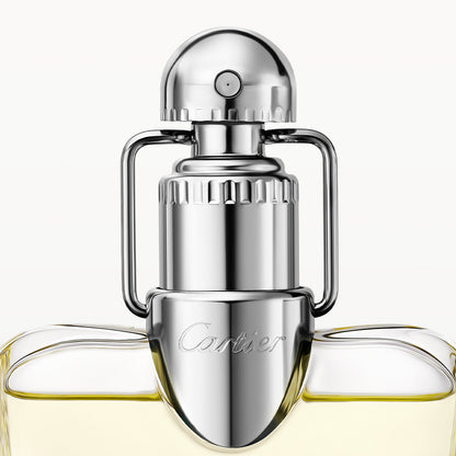 Cartier Déclaration – Eau de Toilette 100 mL – Men